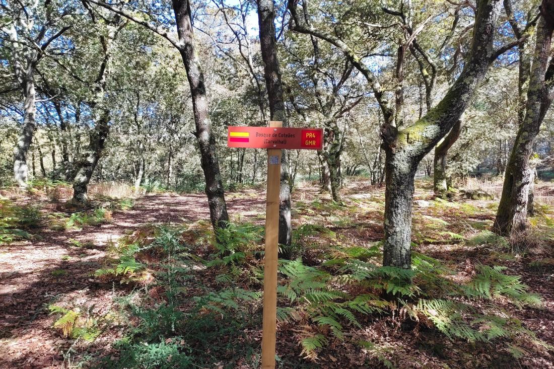 Rádio Vizela - Associação AVE promove caminhada no trilho de Guardizela