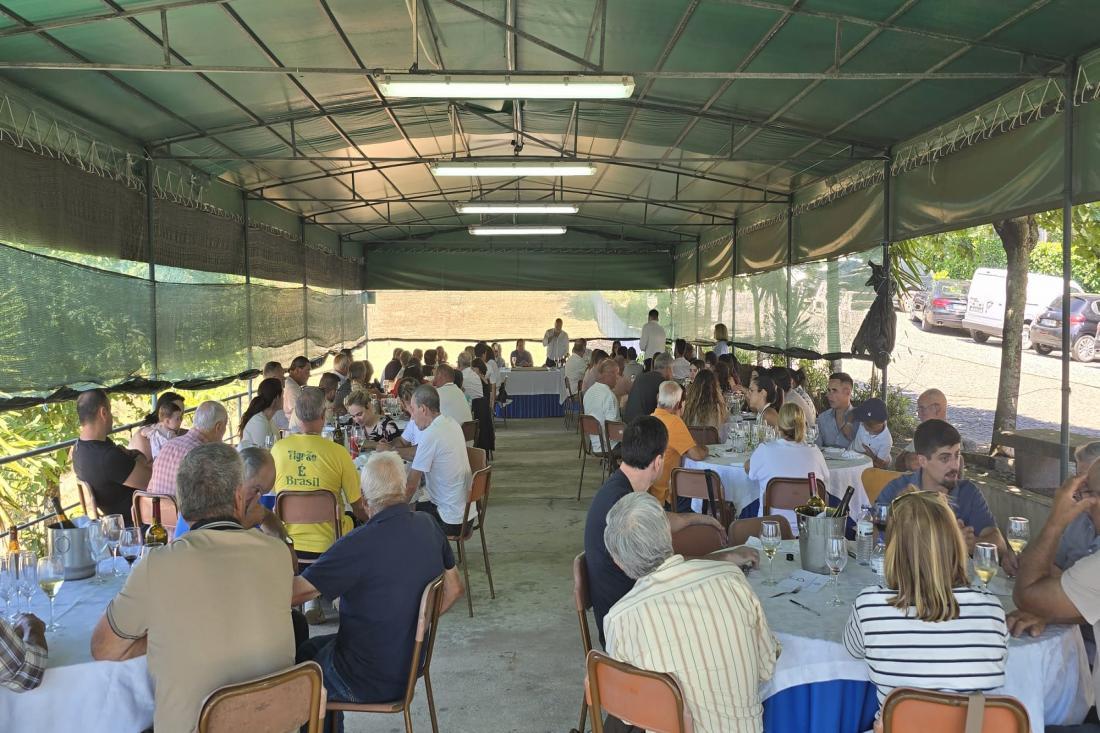 CTD Vizela já tem programa comemorativo do 74º aniversário 