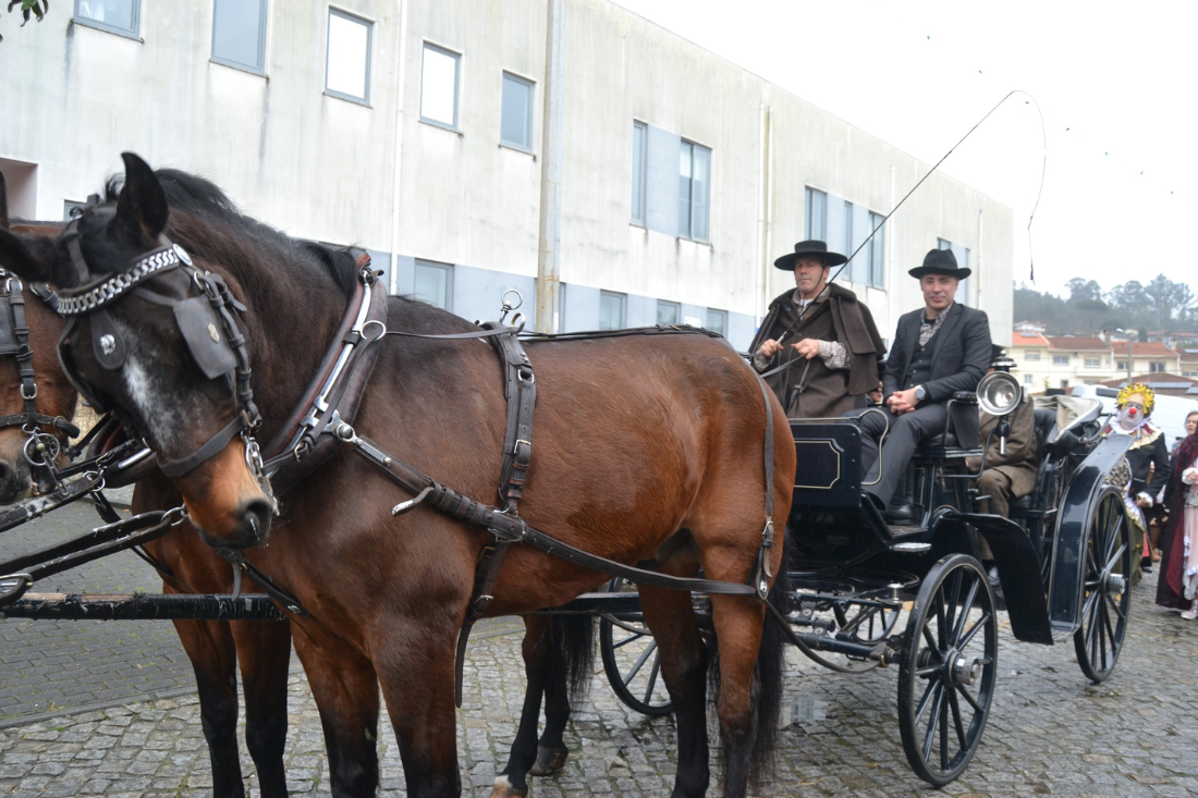 Rádio Vizela - Decorre hoje o último dia da Feira de Época de Nespereira