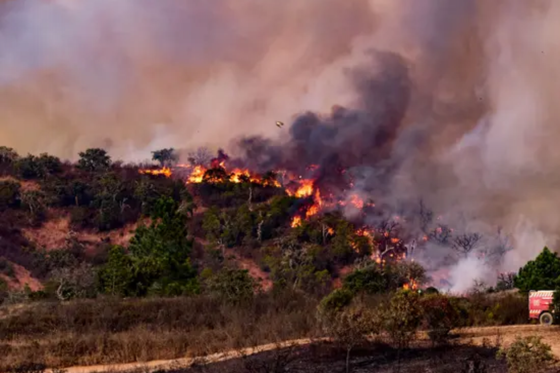 ANEPC alerta para perigo máximo de incêndio rural 