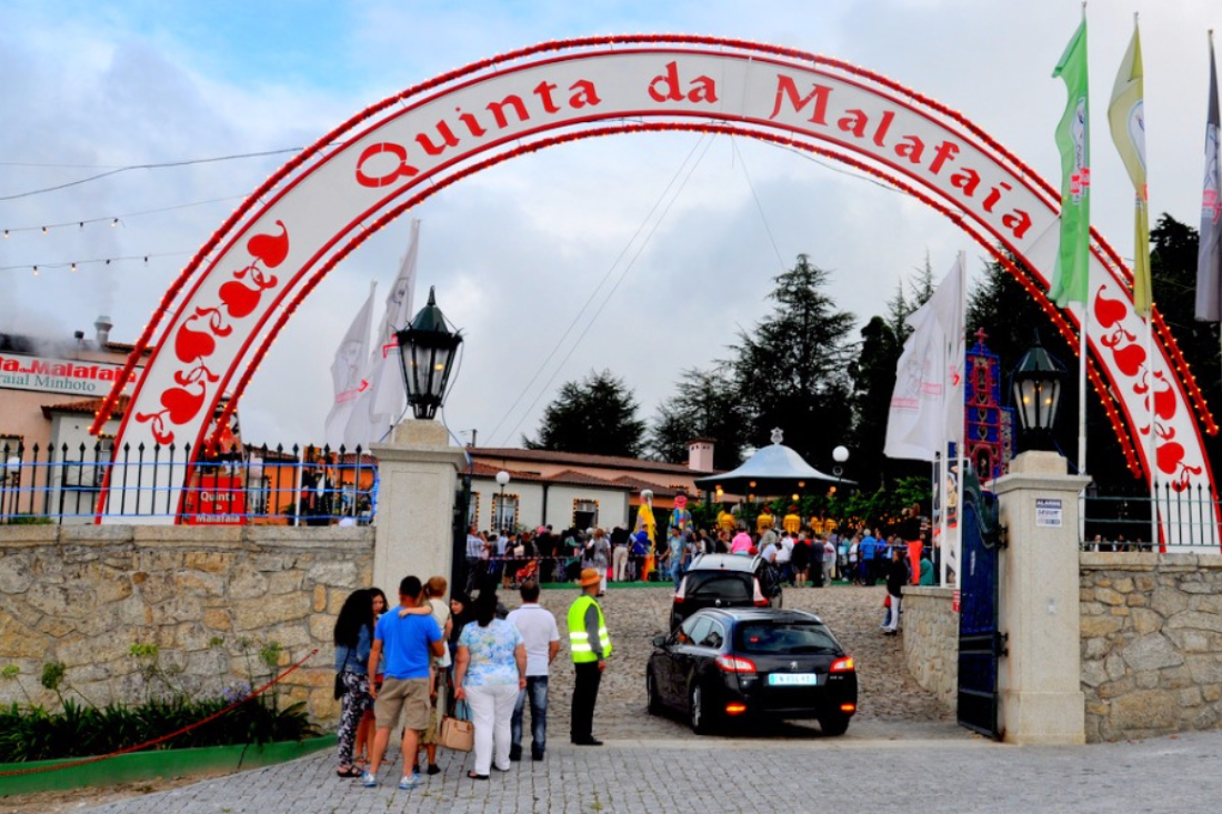 Rádio Vizela - CM Santo Tirso promove passeio sénior à Quinta da Malafaia