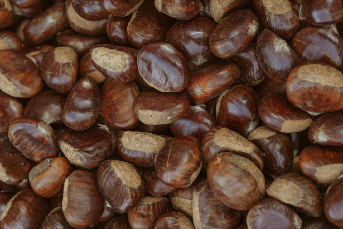 Magusto da Casa do Povo de Vizela promete tarde de convívio