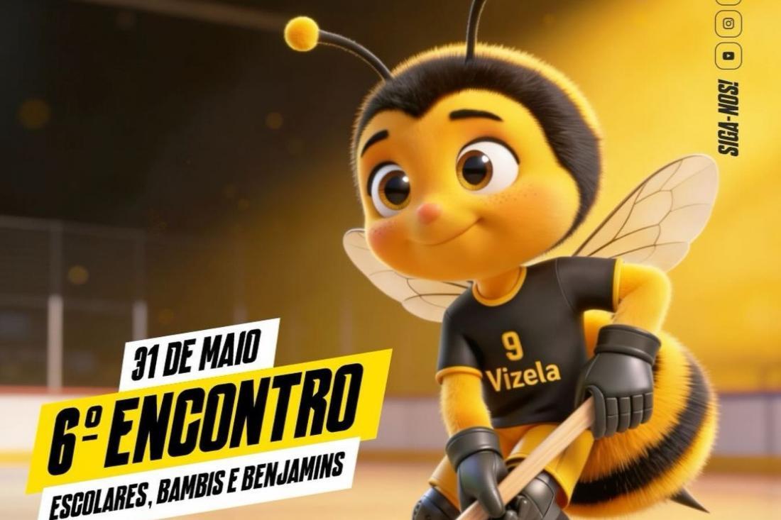 Festa do Hóquei em Patins  domingo em Santa Eulália 