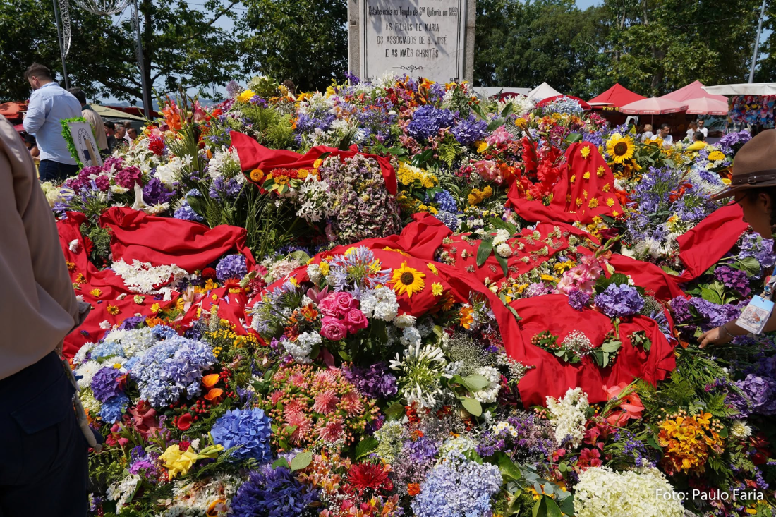 Regilde promove último ensaio para Cortejo das Flores