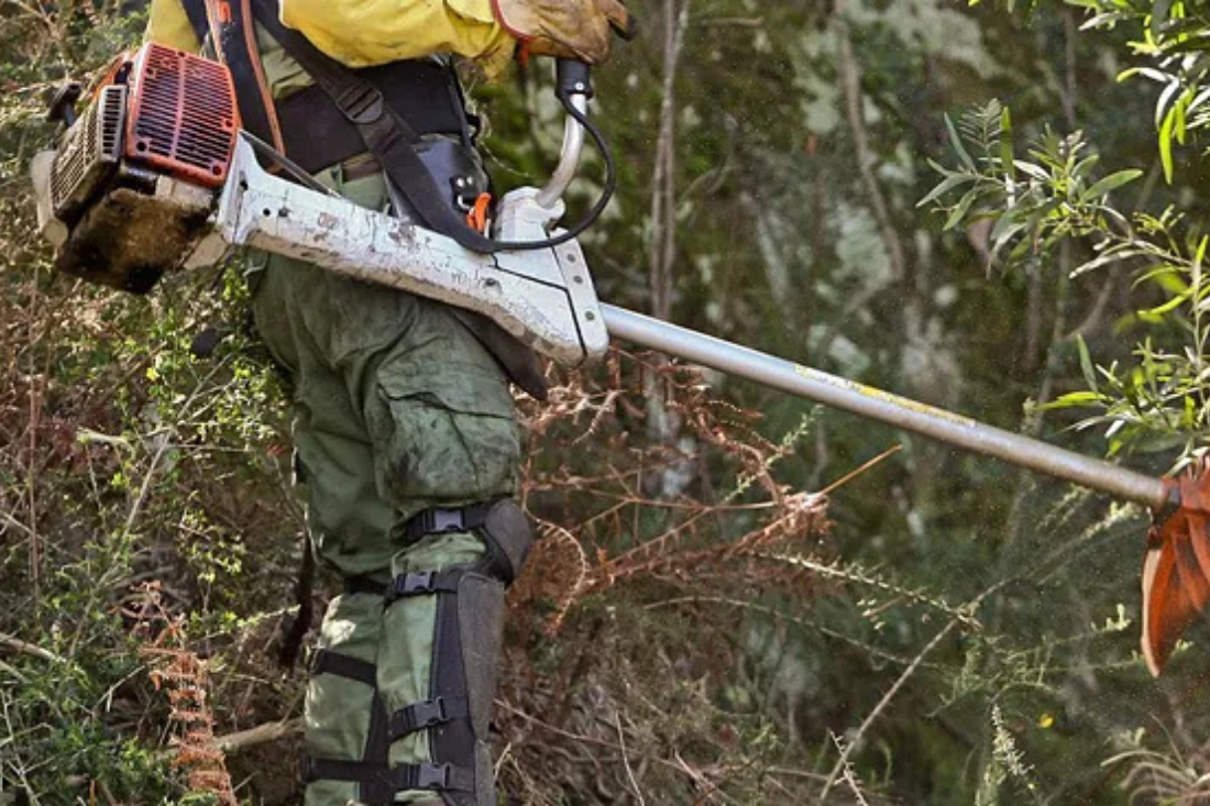 Termina hoje o prazo para limpeza obrigatória de terrenos